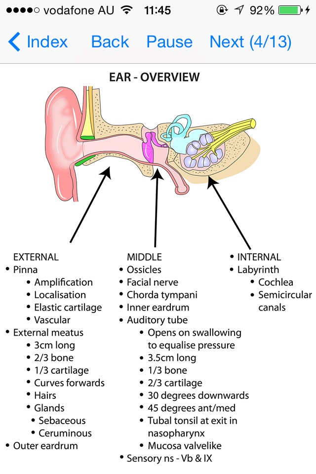 Anatomy Lectures Head and Neck screenshot 4