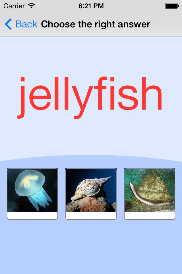 Sea Animals. Learning Cards screenshot 4