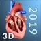 Icon My Heart Anatomy