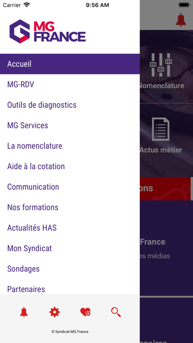MG-France screenshot 2