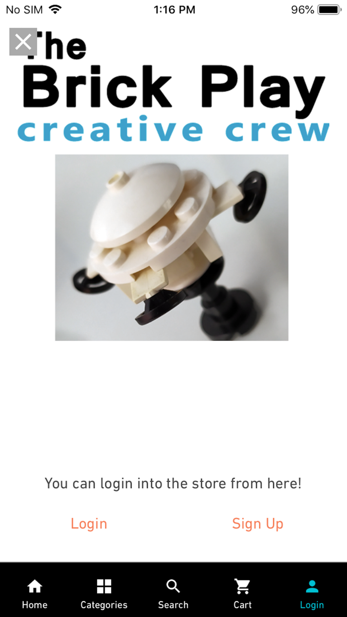 THE BRICK PLAY STORE