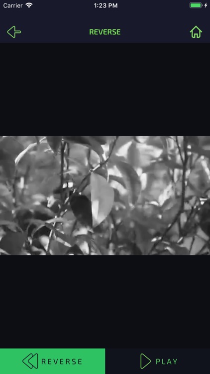 Rewind Memories screenshot-3