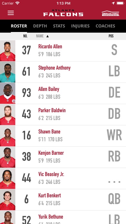 Atlanta Falcons