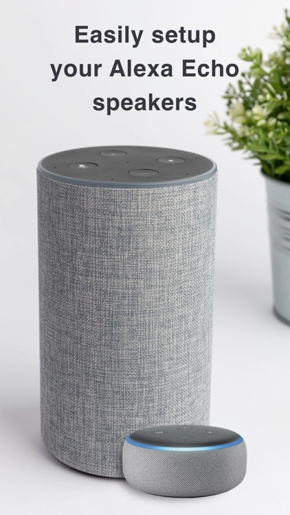 Setup for Alexa echo dot app
