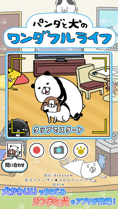 パンダと犬のワンダフルライフ screenshot1