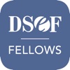 DSEF Fellows