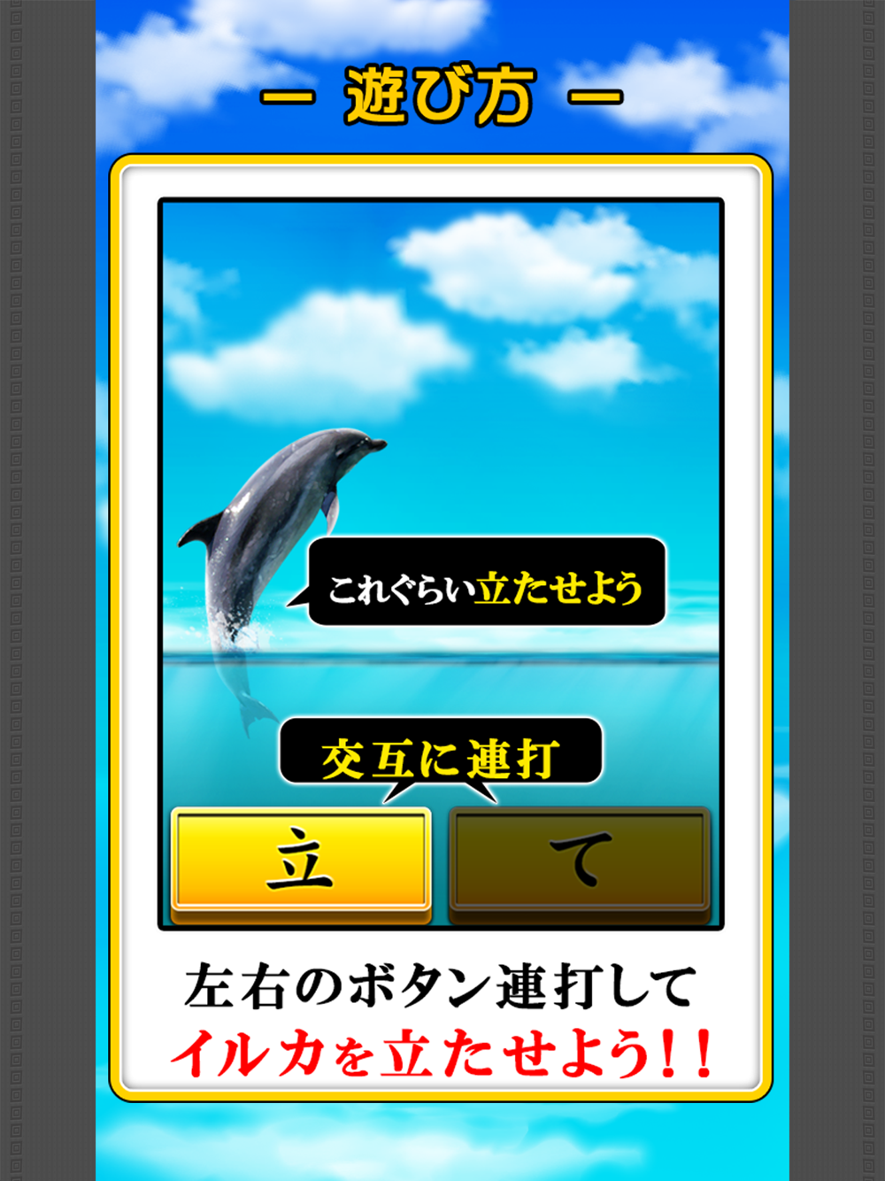 Can Dolphin Stand Free Download App For Iphone Steprimo Com