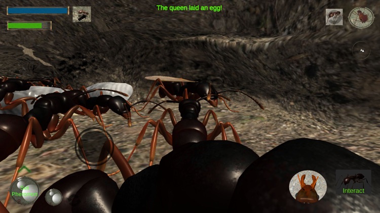 Ant Simulation Full screenshot-7
