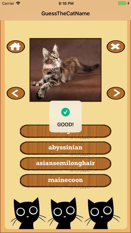 Guess The Cat Name screenshot-4