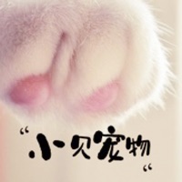 小贝宠物 STICKER