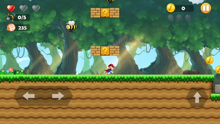 Brave Rogue Dungeon screenshot-5