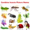 You are not aware about all different insects and you want to know about the insects the this application helps you to know about insects with fun