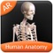 Human Anatomy Explorer app is a quick reference app that contains information about the ten different biological systems present in the human body in a visual and engaging manner