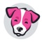 LoveDog is the ultimate App for dog-lovers around the world, and the perfect place to get your daily dose of doggy fun