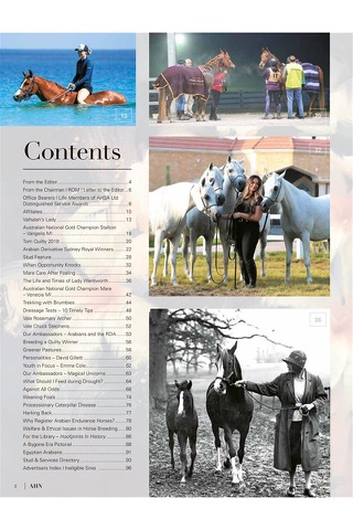 Australian Arabian Horse News screenshot 2