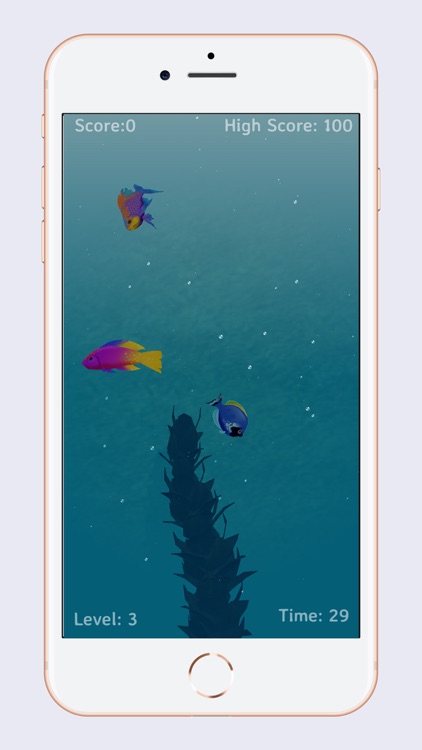 Coral Game screenshot-4