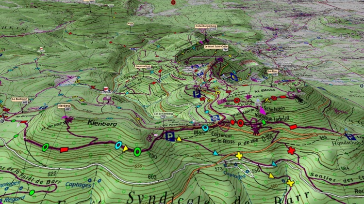 3716 Vosges Top3D