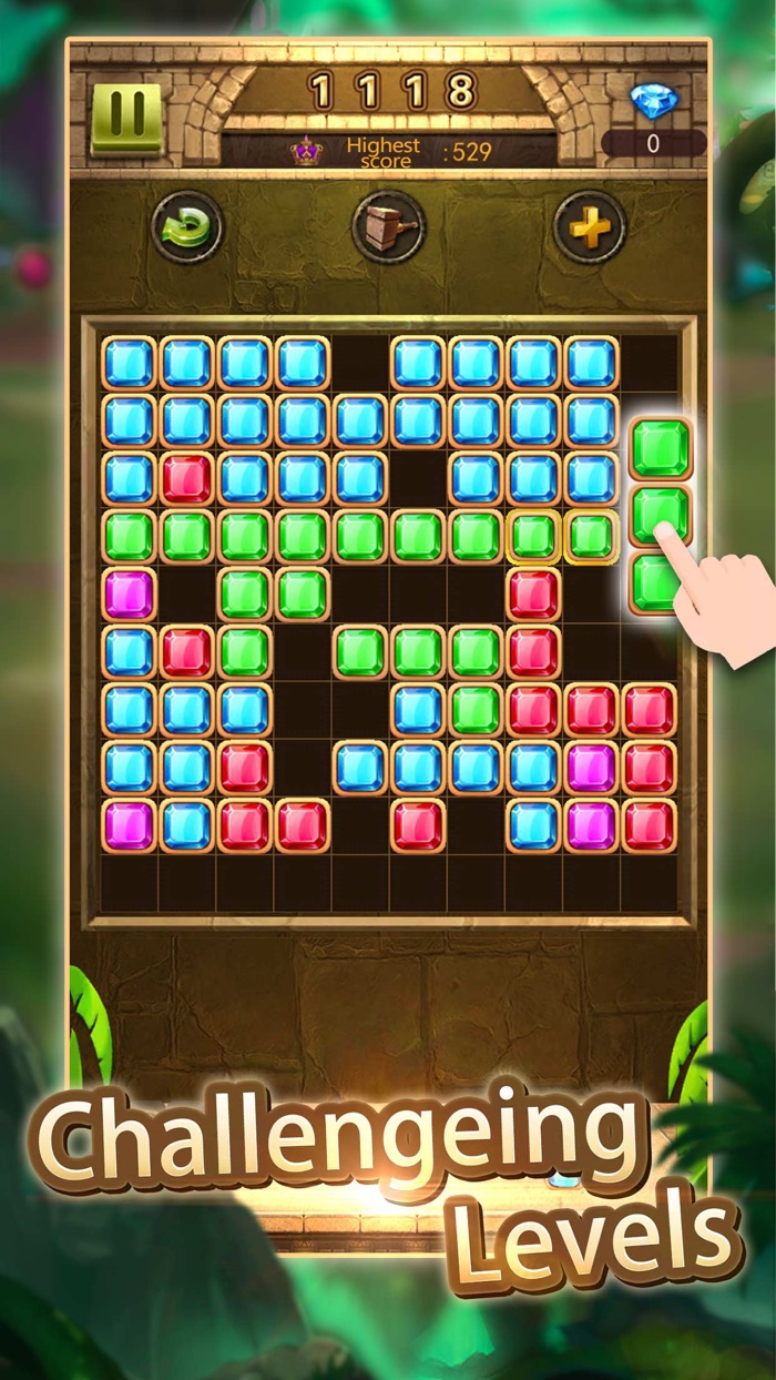 BlockGo - Block Puzzle Games