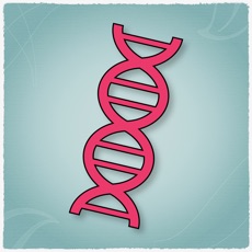 Activities of Barrel of DNA