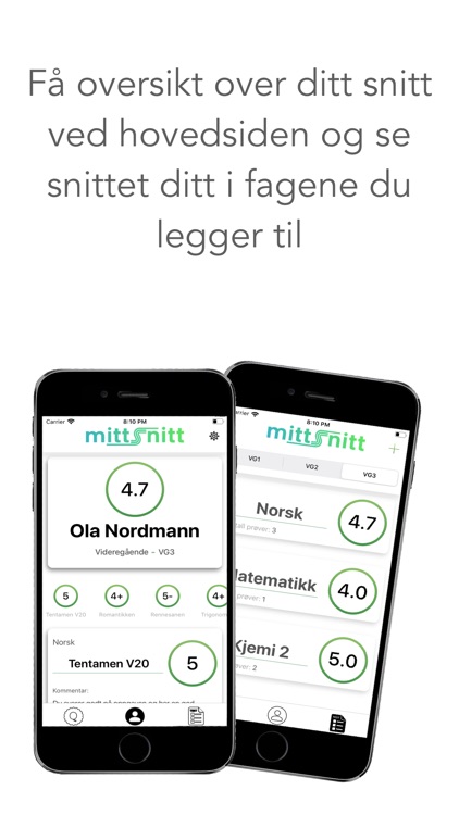 mittSnitt