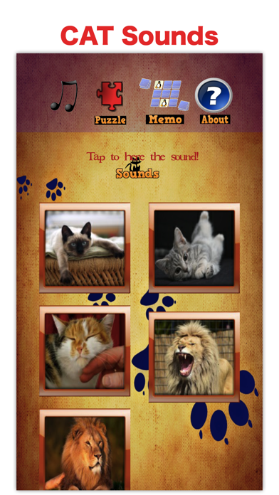 Kitty Cat: Meow Games for Kids screenshot 2