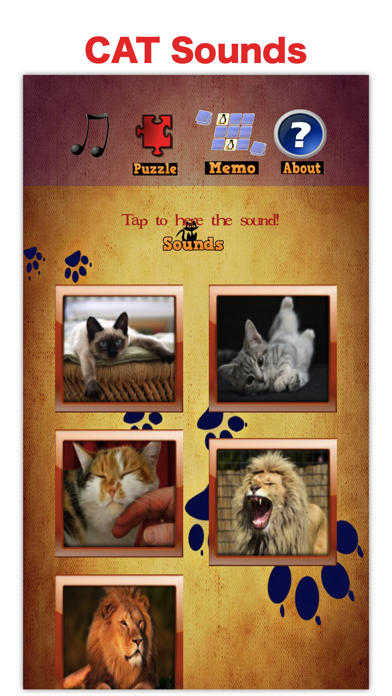 Kitty Cat: Meow Games for Kids Screenshot 2