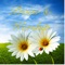 The app contains hundreds of uplifting Christian songs for you to listen to daily