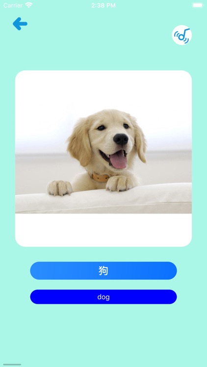 Learn Chinese Simple APP