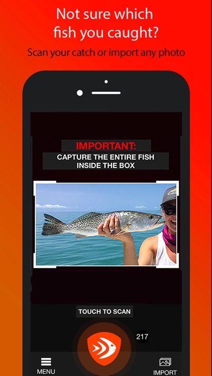 FishVerify: Florida Fish ID
