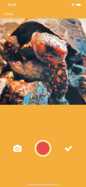 Captura de Pantalla 5 Tortoise - Keep Recording iphone
