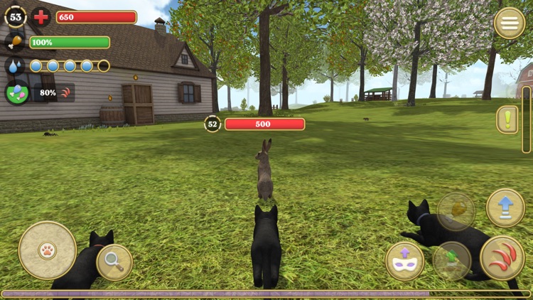 Cat Simulator 2020