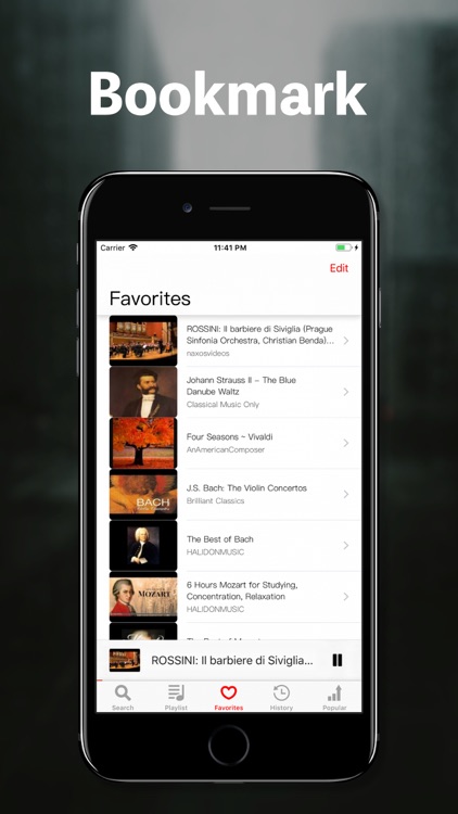 Sound Loop screenshot-4