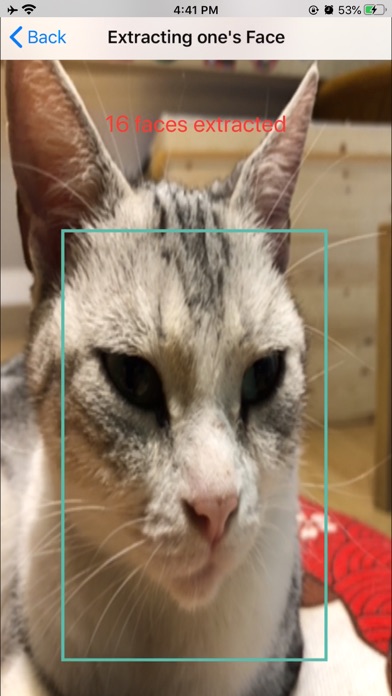 Catreco - Cat Face Recognition screenshot 2