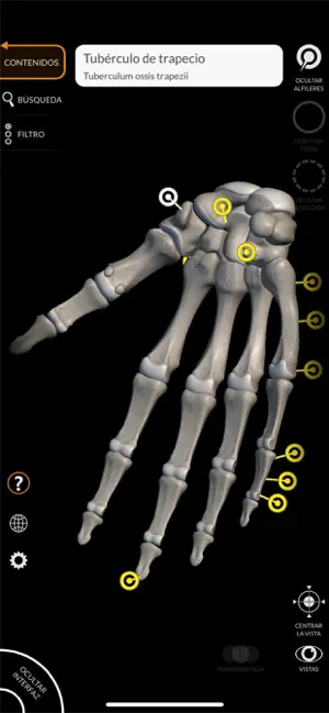 Imágen 3 Esqueleto Anatomía 3D iphone