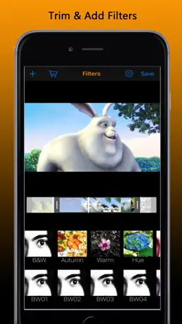 Game screenshot VideoFinish Pro mod apk