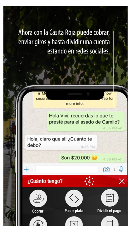 DaviPlata screenshot-5
