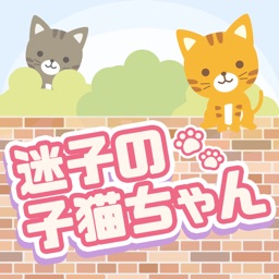 迷子の子猫ちゃん