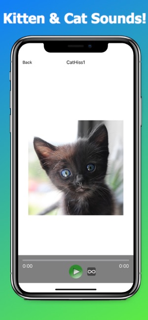 Kitten Sounds Pro - Cat Sounds(圖1)-速報App