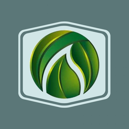 Pleasant Lawn & Tree