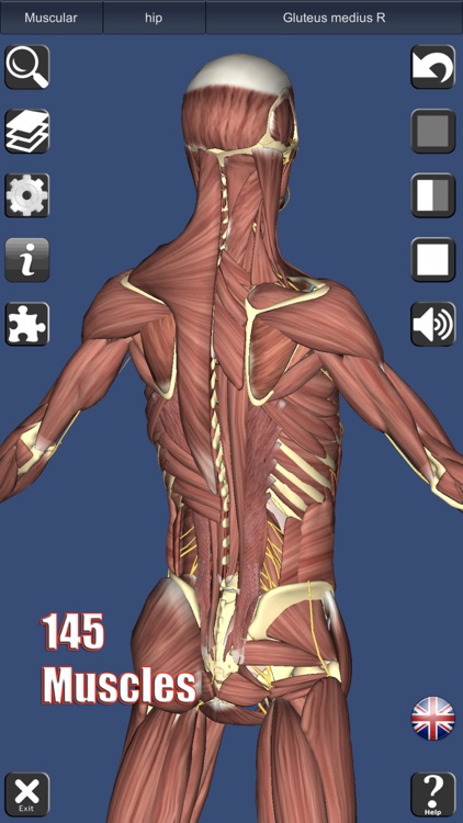 3D Anatomy