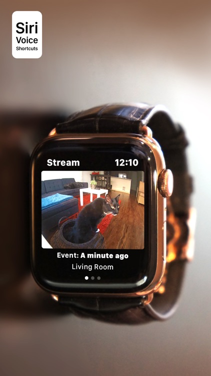 Watch Cam for Nest Cam screenshot-0