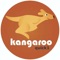 Kangaroo Quick1 is professional city delivery, errands, 2 hours delivery service in South African