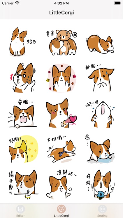 LittleCorgi