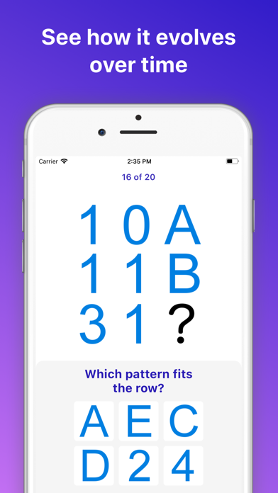 Rapid IQ Test screenshot 4