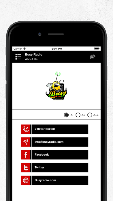 Busy Radio screenshot 4