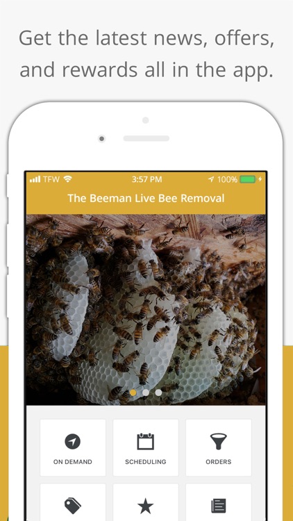 BeeMan - Live Bee Removal