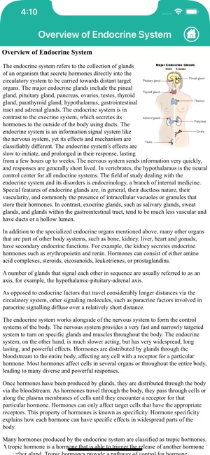 Anatomy : Endocrine System(圖5)-速報App