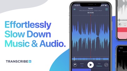 【图】Transcribe+ Slow Down Music(截图1)