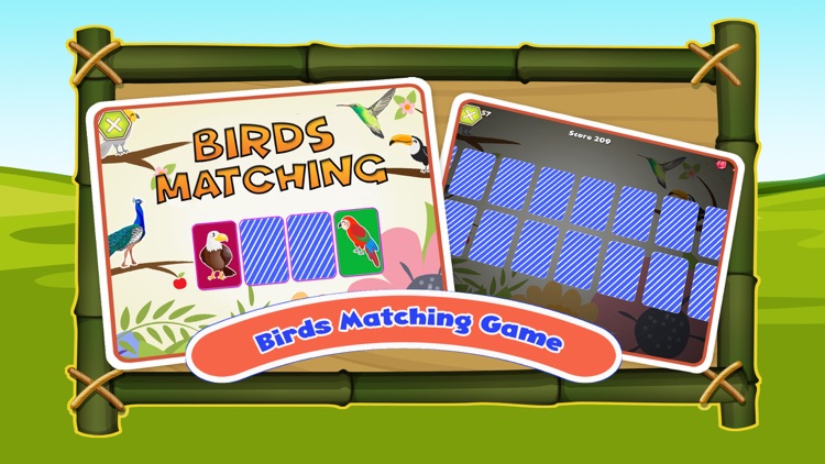 Birds Animal Sounds Kids Games screenshot-3