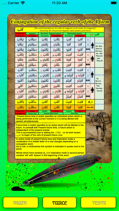 Arabic verbs - tests screenshot 2